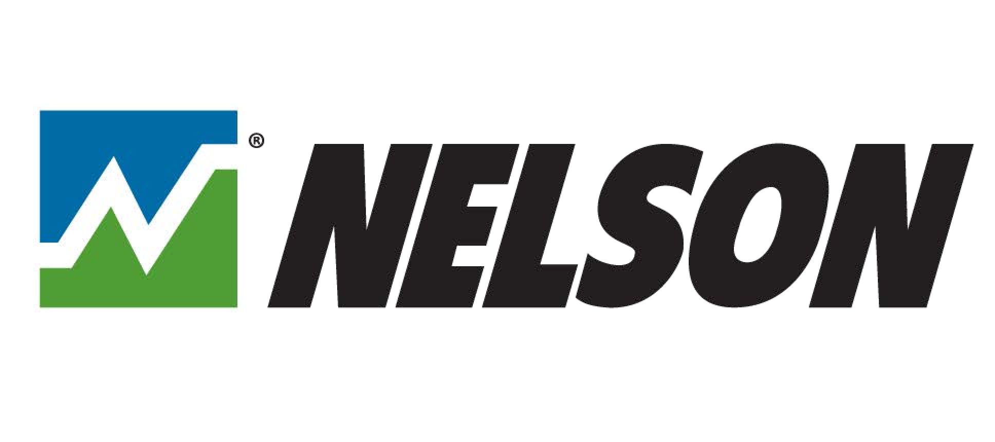 Nelson logo